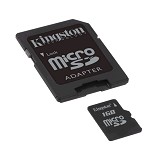 9.13.06---kingston-microsd.jpg